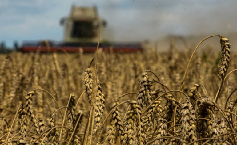 Fiagro como ferramenta para evitar recuperação judicial no agro