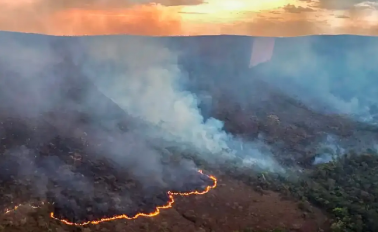 Incêndios podem ter afetado mais de 11 milhões de pessoas no Brasil