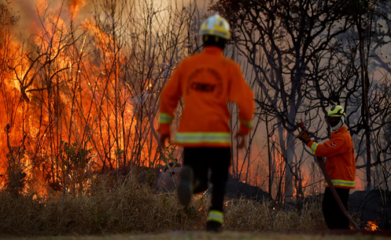 Monitoramento mostra que 99% dos incêndios no Brasil têm origem em ação humana