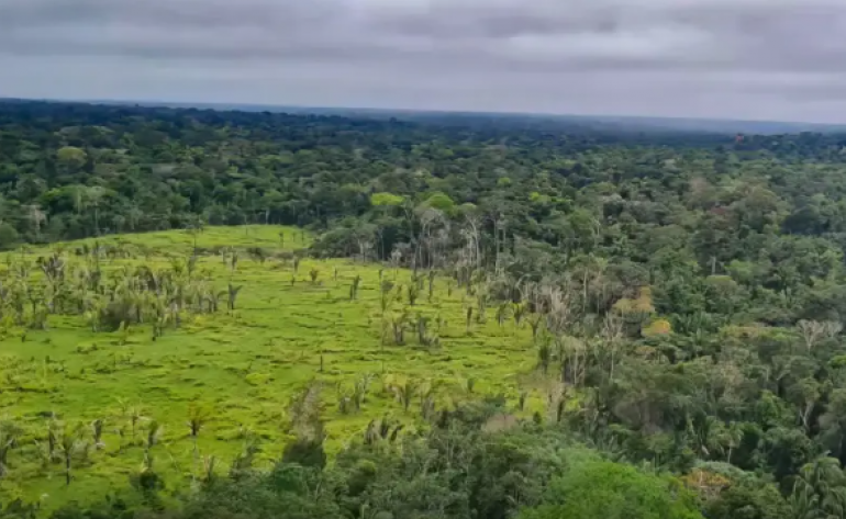 Lei que cria mercado regulado de carbono no Brasil é sancionada sem vetos