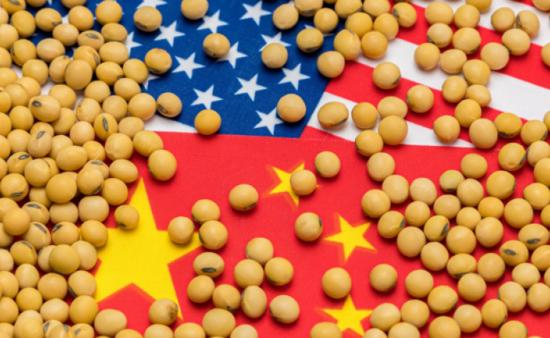 Para onde vão os preços da soja no Brasil e CBOT após o acordo entre EUA e China?