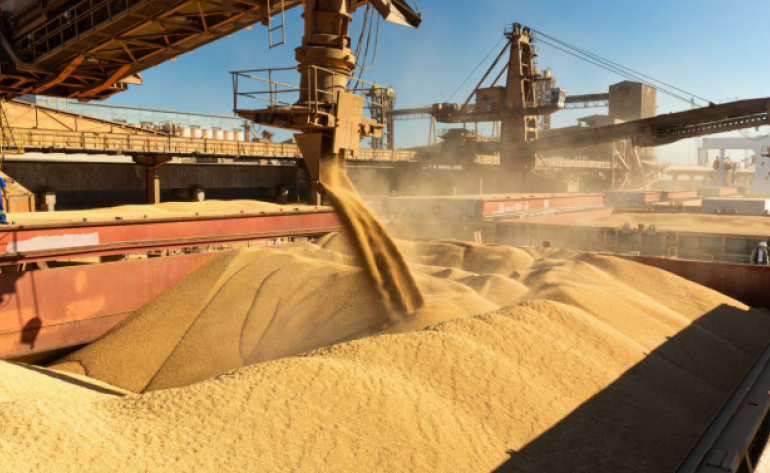 EUA perdem vendas de soja para  China enquanto Brasil domina período-chave de fornecimento