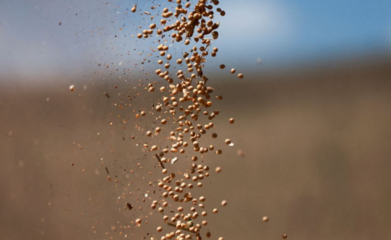 Chinesa Cofco fecha compras bilionárias de soja do Brasil e óleo de palma