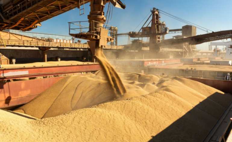 China pode acabar com esperanças de exportações dos EUA por excesso de soja