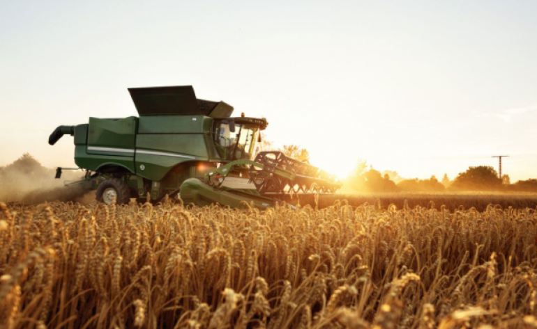 Coamo vê vendas de soja mais lentas e preocupação logística com grande safra