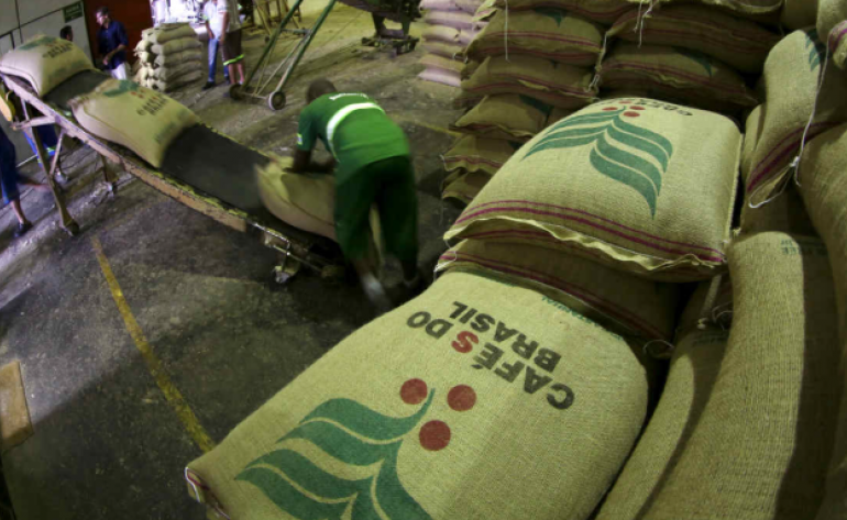 Exportação de café verde do Brasil despenca em janeiro por preços mais baixos, diz Cecafé