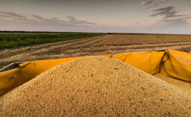 Índia deve importar volume recorde de óleo de soja em agosto; Brasil amplia embarques