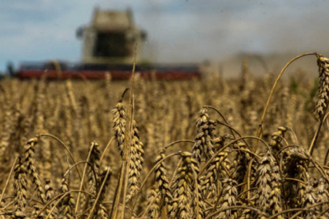 Fiagro como ferramenta para evitar recuperação judicial no agro