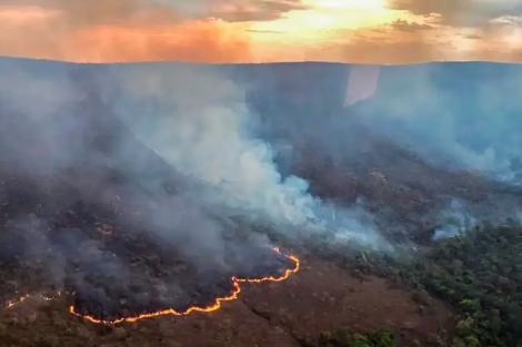 Incêndios podem ter afetado mais de 11 milhões de pessoas no Brasil