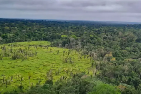 Lei que cria mercado regulado de carbono no Brasil é sancionada sem vetos