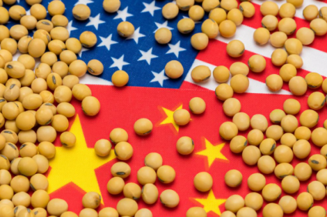 Para onde vão os preços da soja no Brasil e CBOT após o acordo entre EUA e China?