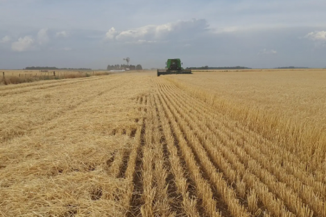 CMN autoriza prorrogação de dívidas de custeio de produtores rurais