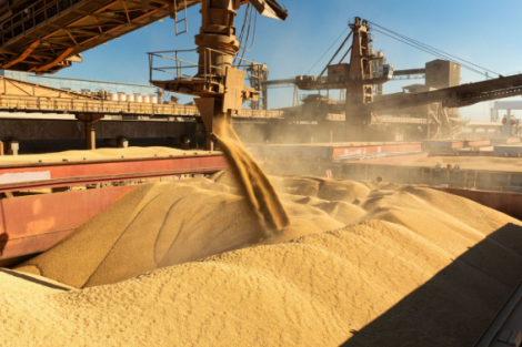 EUA perdem vendas de soja para  China enquanto Brasil domina período-chave de fornecimento