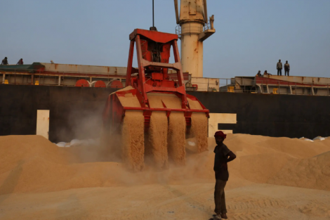 Importações de soja do Brasil pela China aumentam 13,9% em julho