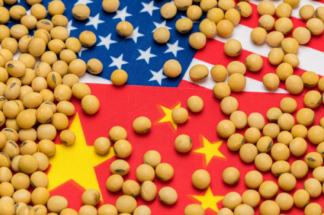China aumenta compras de soja da Argentina e do Uruguai e frustra pressão de Trump