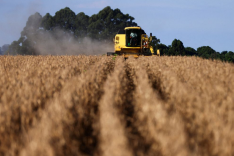 China adia compras de soja devido a altos prêmios do Brasil, dizem traders