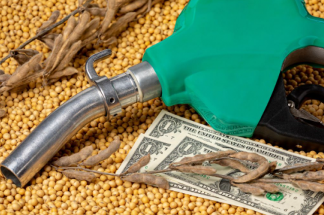 Brasil iniciará testes com mistura de 20% de biodiesel no diesel em maio
