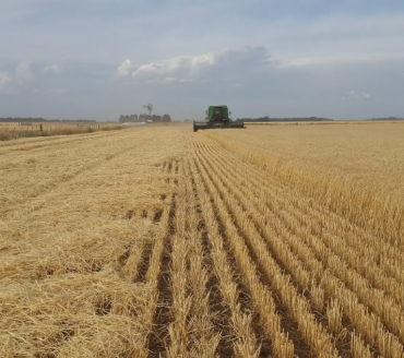CMN autoriza prorrogação de dívidas de custeio de produtores rurais