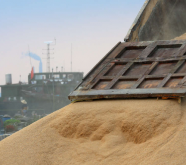 China deve importar recorde de soja em 2025 com compras do Brasil e trégua comercial dos E