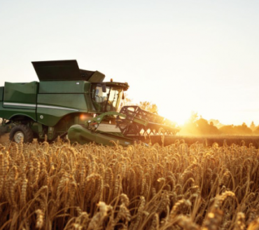 Coamo vê vendas de soja mais lentas e preocupação logística com grande safra