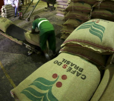Exportação de café verde do Brasil despenca em janeiro por preços mais baixos, diz Cecafé