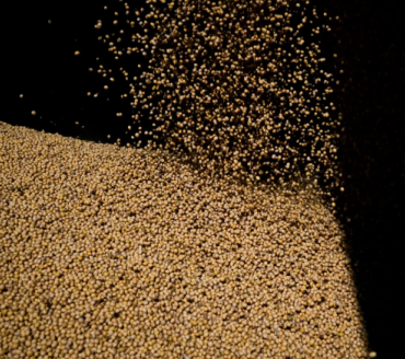 Importações chinesas de soja dos EUA despencam; desembarques brasileiros saltam