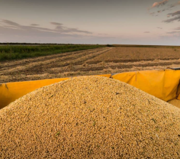 Índia deve importar volume recorde de óleo de soja em agosto; Brasil amplia embarques